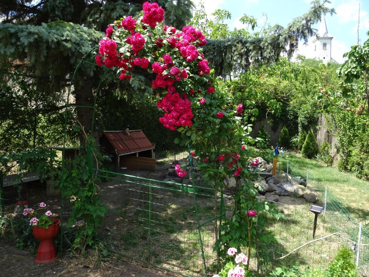 Guesthouse Ilona Velky Kamenec Екстер'єр фото