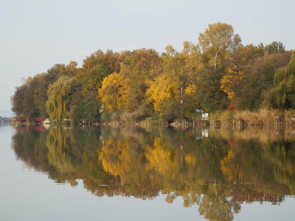 Guesthouse Ilona Velky Kamenec Екстер'єр фото